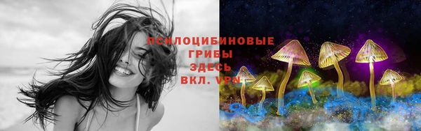 2c-b Билибино