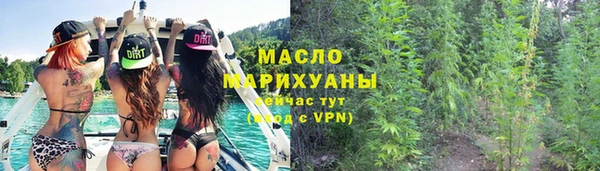 мдпв Богородск