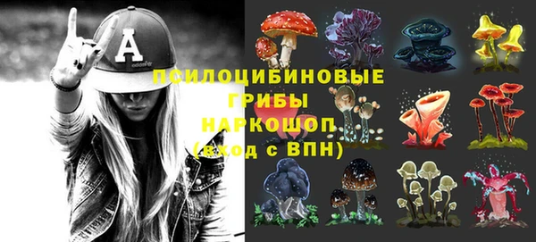каннабис Белокуриха