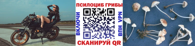 Галлюциногенные грибы мухоморы Верхний Тагил