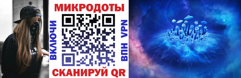 shop наркотические препараты  Верхний Тагил  Галлюциногенные грибы Psilocybe 